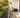 Betriebskosten Wohnung senken – 3 Tipps 2026 - Erledy